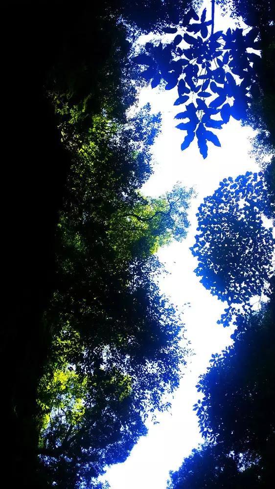 消灭红球大作战选关版